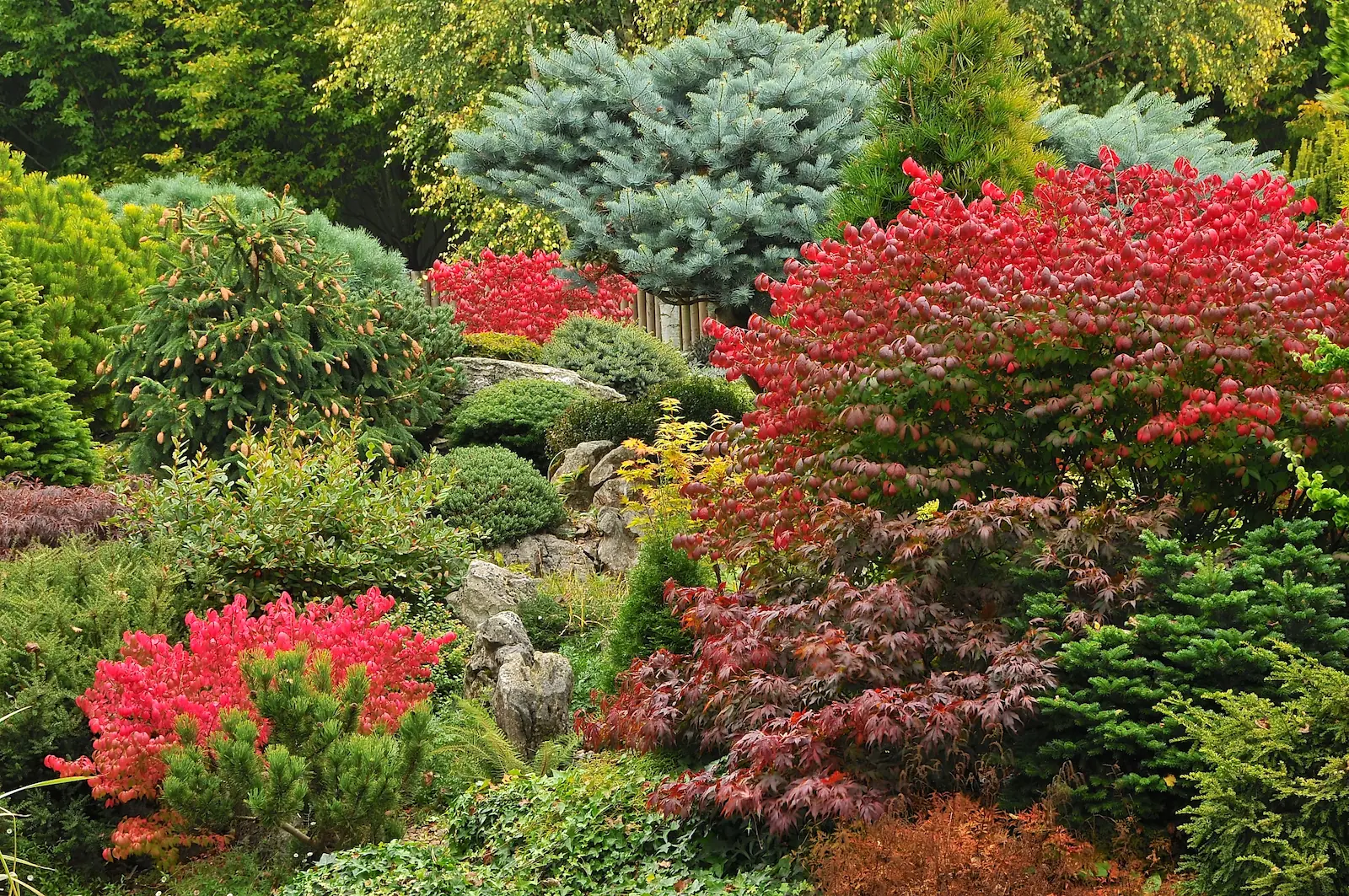 John's Garden during Autumn