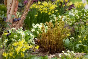 John's Garden during Spring