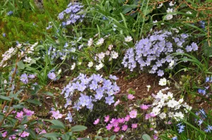 John's Garden during Spring