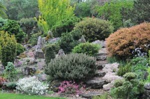John's Garden during Spring
