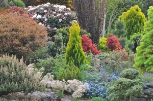 John's Garden during Spring