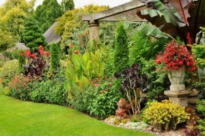 John’s Garden: Charity Open Days