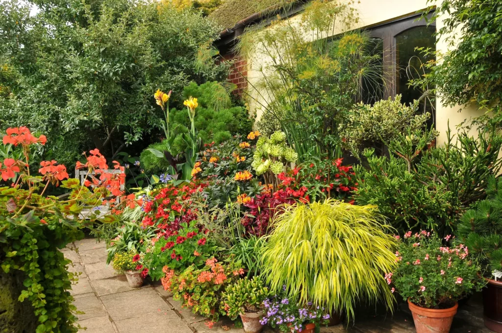 John's Garden during Summer