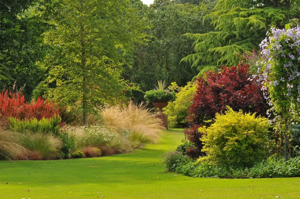 John's Garden during Summer