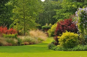 John's Garden during Summer