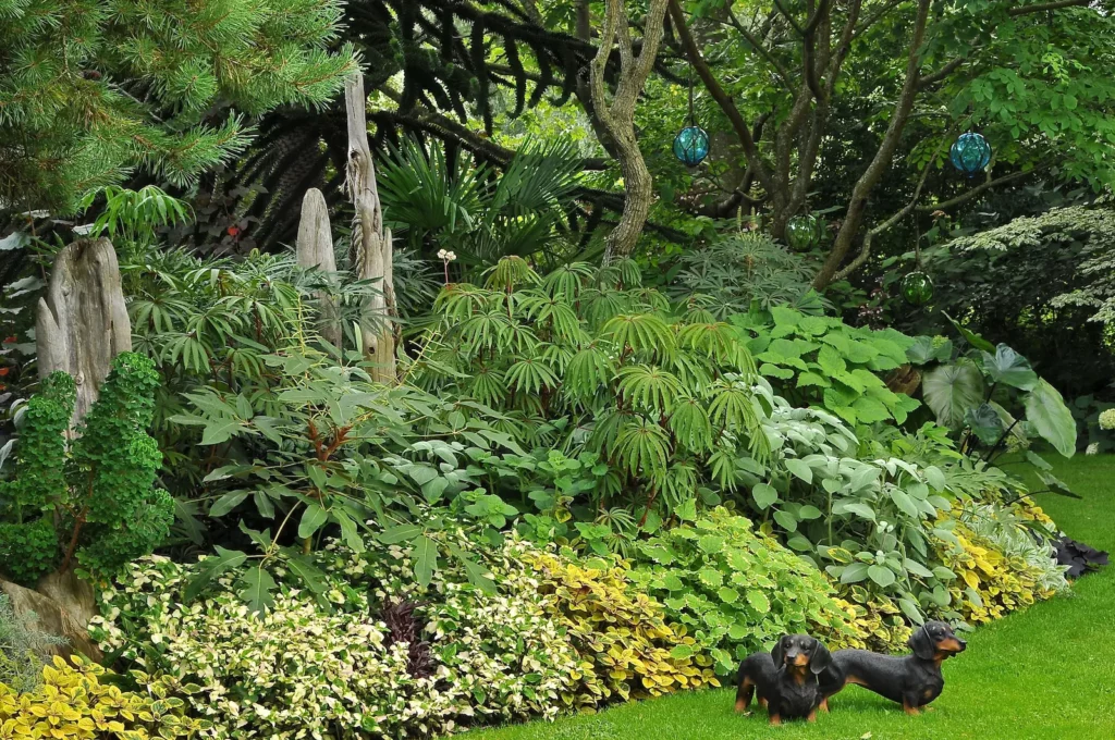 John's Garden during Summer
