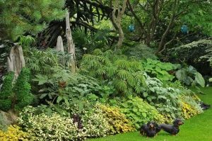 John's Garden during Summer