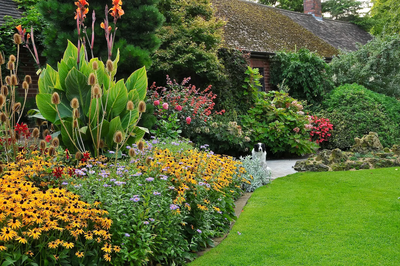 John's Garden during Summer