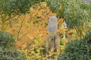 John's Garden during Winter
