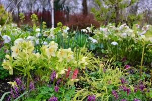 John's Garden during Winter