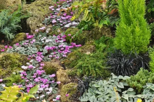 John's Garden during Winter