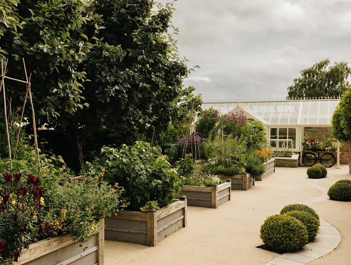Horatio's Garden