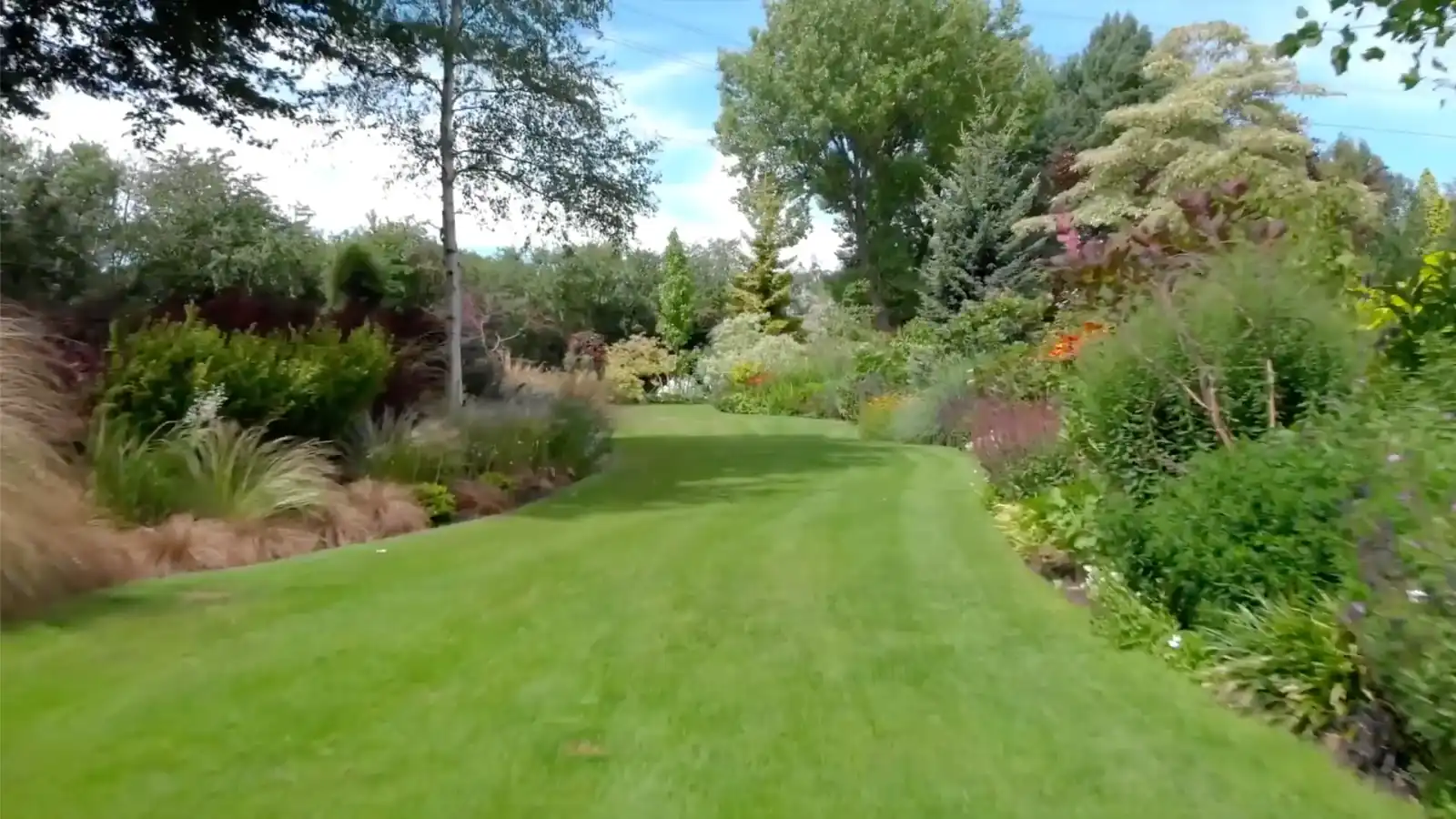 John's Garden