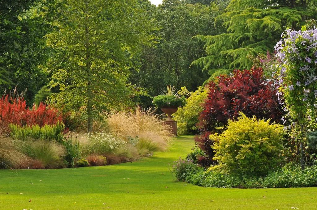 John's Garden
