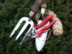 Gardening Tools & Plant Supports