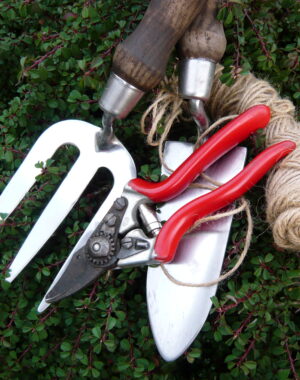 Gardening Tools & Plant Supports