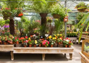 Garden Centre plant sales greenhouse