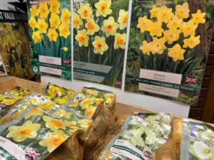 Garden Shop Bulbs