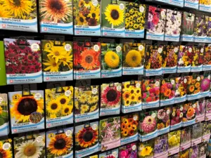 Garden Shop Seeds