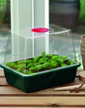 Potting and Propagating