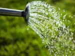 Watering and Spraying