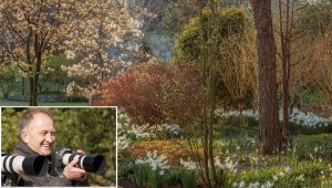 A Photography Masterclass with Clive Nichols