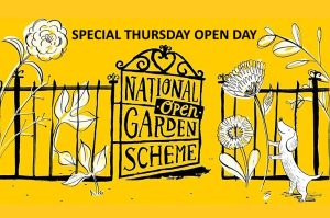 John’s Garden NGS September Open Day