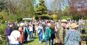 Ashwood Nurseries First Specialist Plant Fair