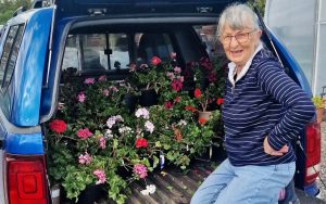 Ashwood welcomes Ursula Key-Davis to host a Pelargonium Masterclass