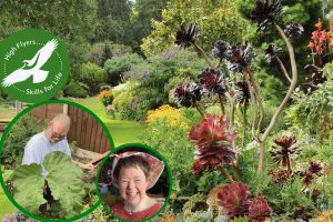 John’s Garden Special Open Day in aid of High Flyers