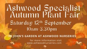 Ashwood Specialist Autumn Plant Fair