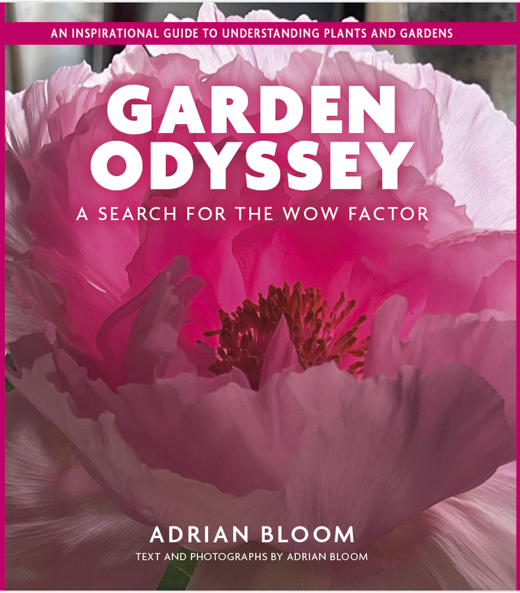 garden odyssey