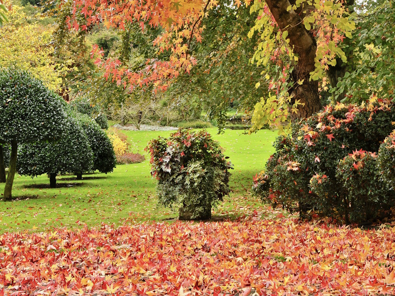 Ashwood Nurseries Calendar 2027