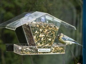 Window Feeder